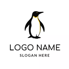 Free Penguin Logo Designs | DesignEvo Logo Maker